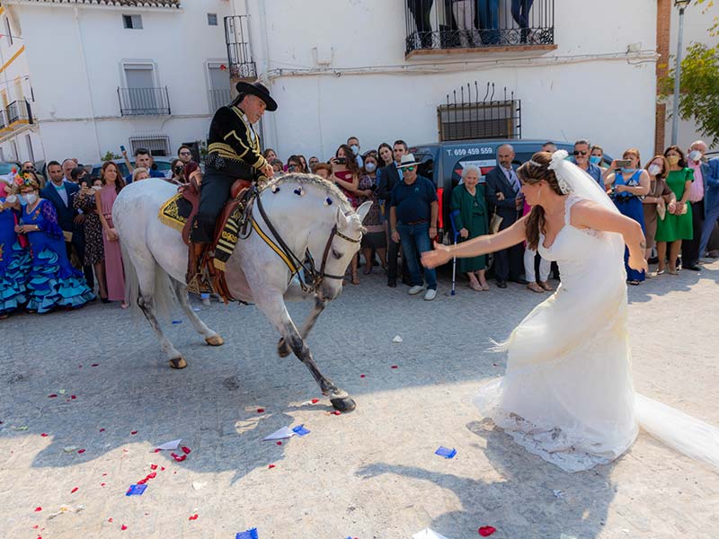 Boda de Sergio y Verónica