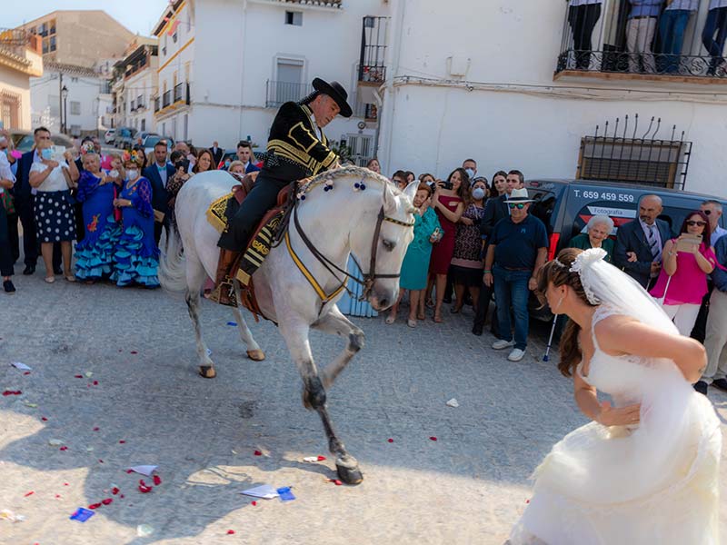 Boda de Sergio y Verónica